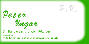 peter ungor business card